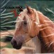 Luncheon Paper Napkin Brown Horse