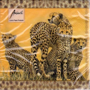 Luncheon Paper Napkin Cheetah Family
