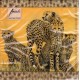 Luncheon Paper Napkin Cheetah Family