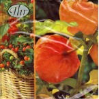 Luncheon Napkin Lampiona