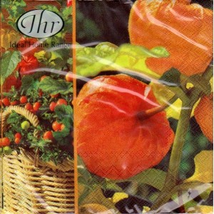 Luncheon Napkin Lampiona